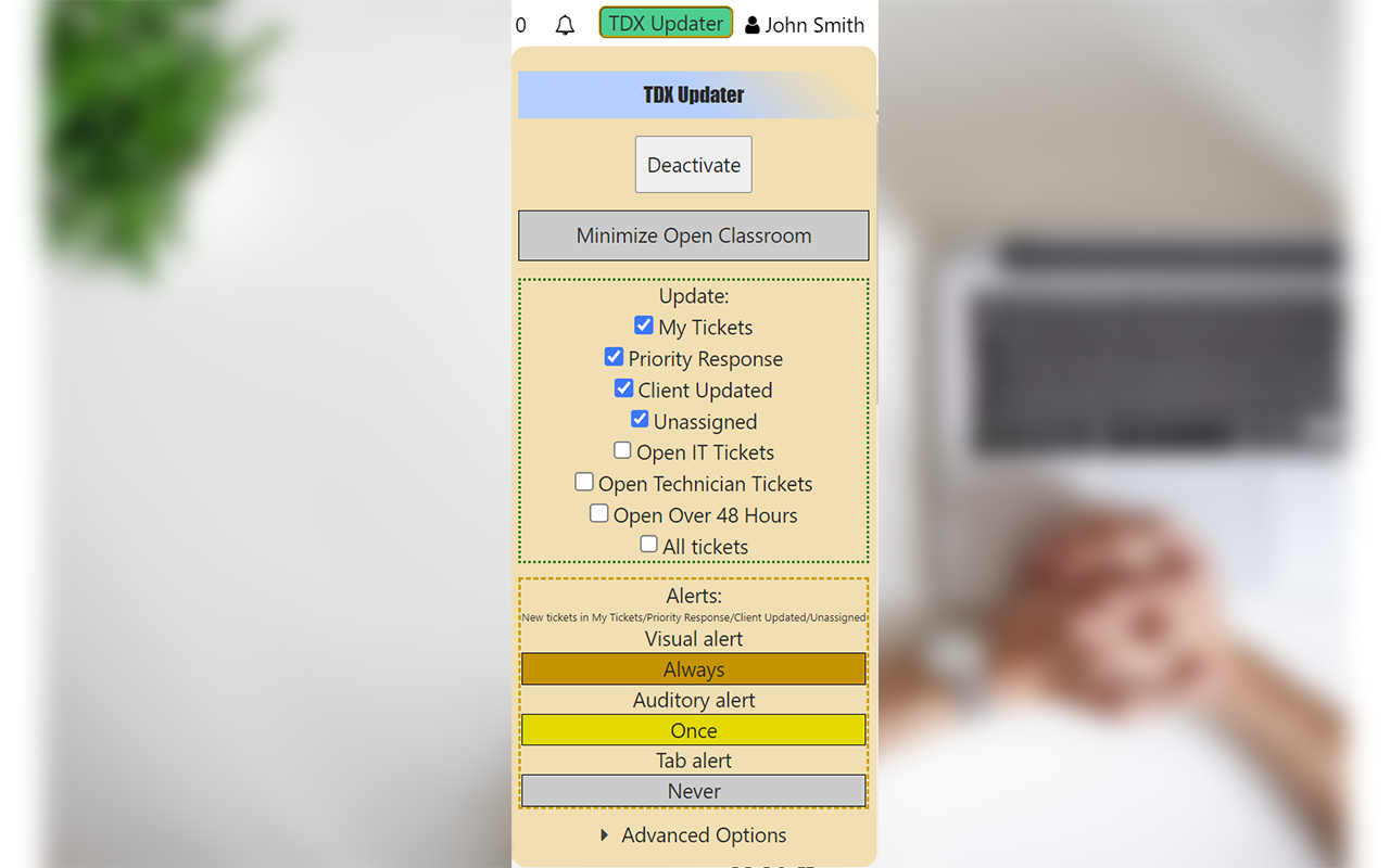 A view of the TDX Updater settings menu, which features an activation toggle, selectable ticket buckets to update, and alerts to set